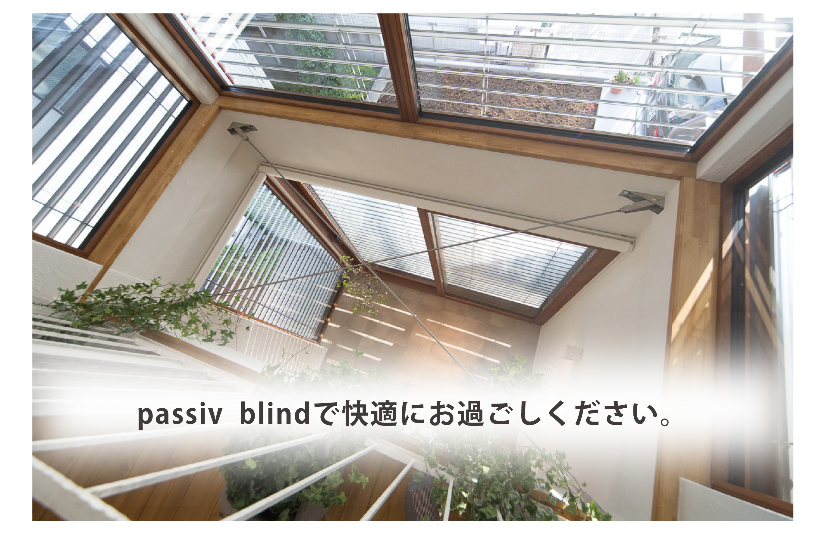 passiv blindで快適にお過ごしください